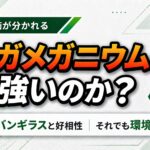 【ポケモンチャンピオンズ】メガメガニウムは強いのか?バンギラスと好相性でも環境逆風 0ff85540-86ec-4e9b-8bf1-e89c1f7e36de