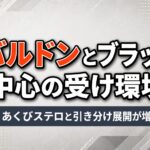 【ポケモンチャンピオンズ】カバルドンとブラッキー中心の受け環境 あくびステロと引き分け展開が増加 5ecdcac3-dea9-4eaa-9cb0-06d0a3bc5ddb